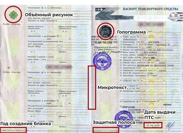 Сроки
